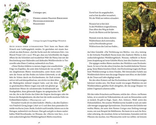 Actual product image Frau Haselin und Drecksäck (German, Rosemarie Gebauer, 2016)