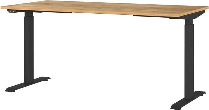 Actual product image Novel Fly (160 x 72 cm)