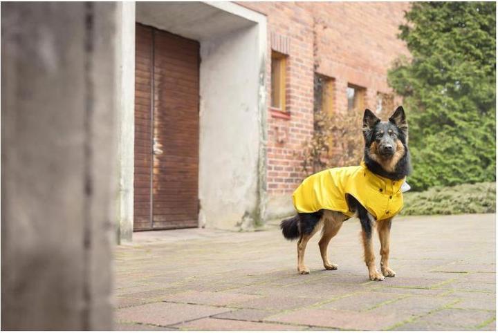 Immagine prodotto Rukka Cani di ruscello (70, Cappotto per cani)