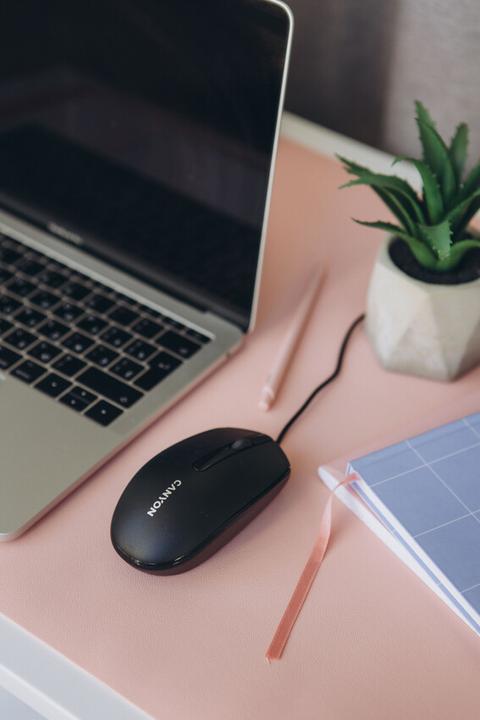 Actual product image Canyon Optical mouse with cable M-10, Black (Cable)