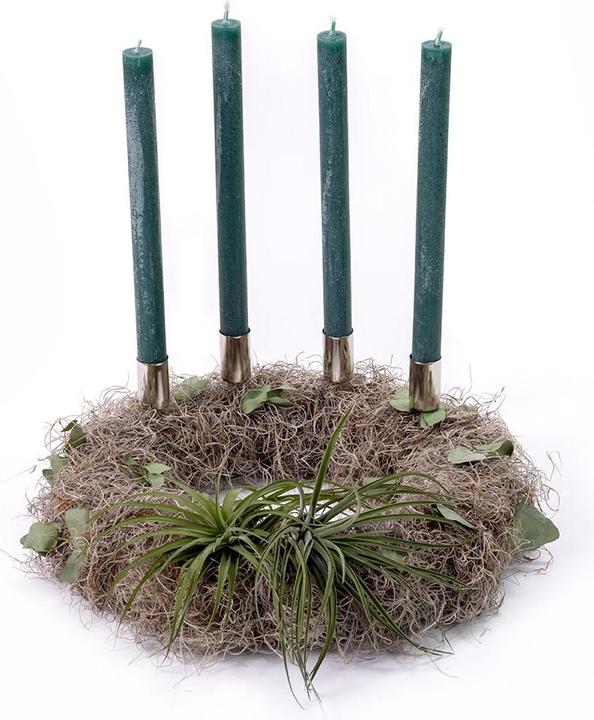 VEG and the City Corona d'Avvento Tillandsia - candele verde abete (35 cm)