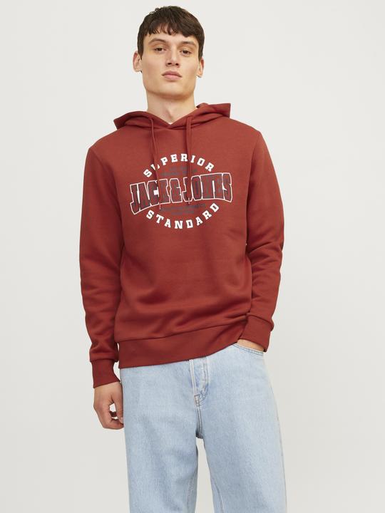 Immagine prodotto Jack & Jones JJELOGO SWEAT HOOD 2 COL 24/25 NOOS (S)