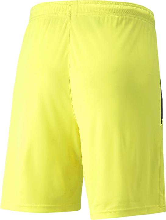 Actual product image Puma teamLIGA Shorts-704924 (60, 3XL)