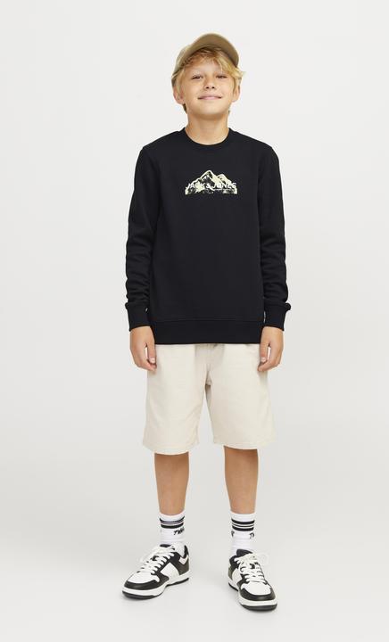 Actual product image Jack & Jones Jcomountain Logo Sweat Crew Neck Sn Mni (116)