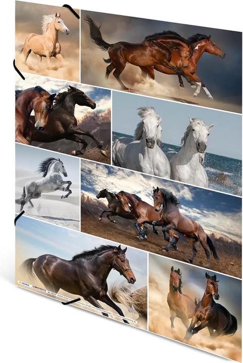 Actual product image HERMA A3 motif folder (A3, 1 x)