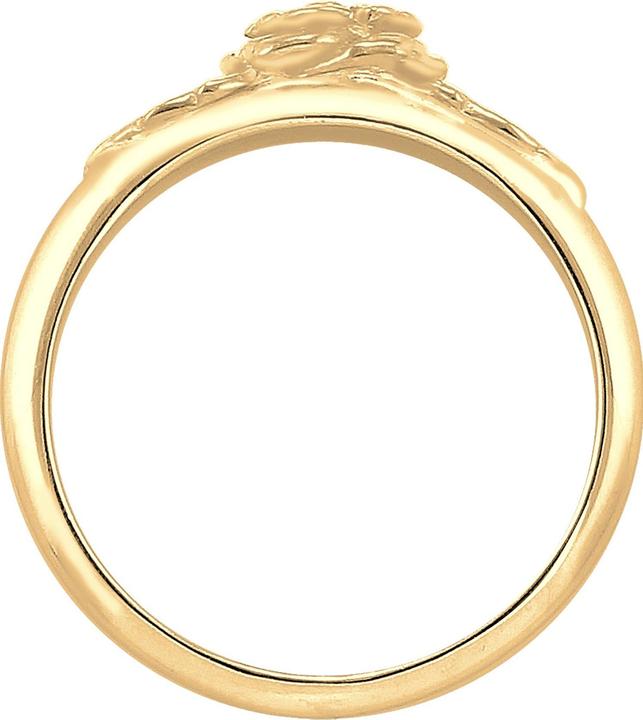 Actual product image Elli Bandring Rosen Design (52, 925 Silver)