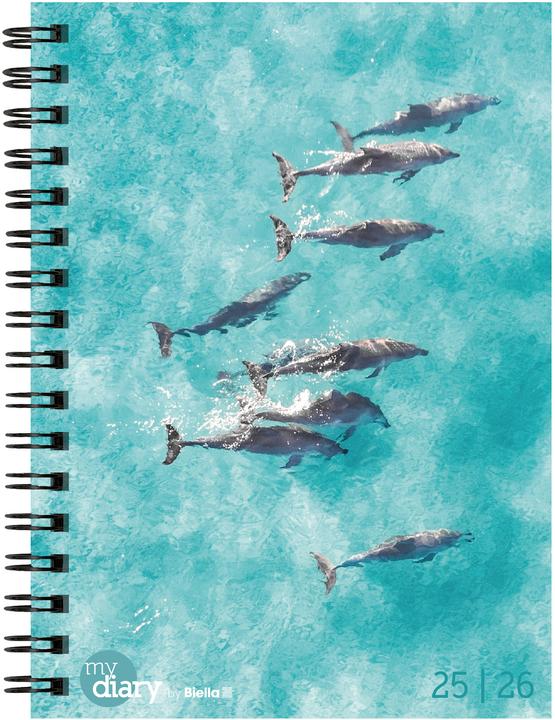 Biella Schüleragenda mydiary Wire-O (12 x 16.5 cm, Deutsch)