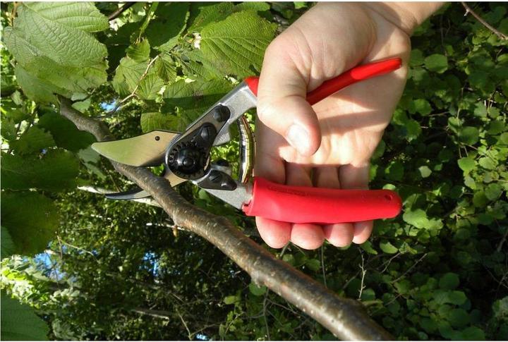 Produktbild Felco Gartenschere 12