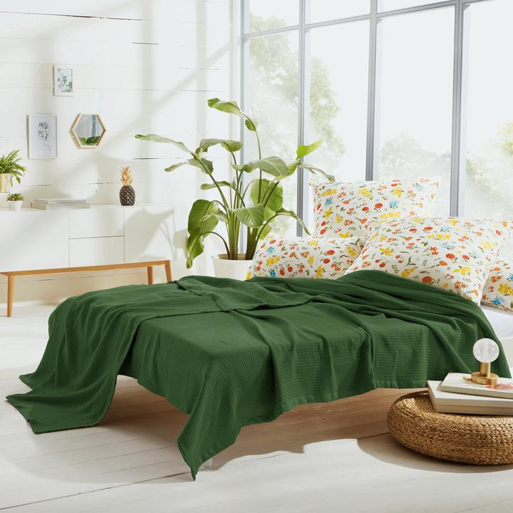 Actual product image Erwin Müller Summer blanket (220 x 240 cm)