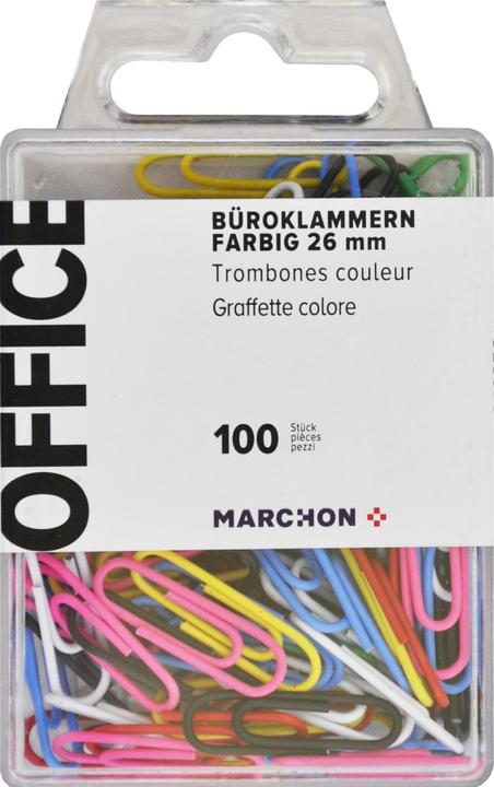 Office Paperclips (100 x)