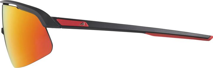 Image du produit ALPINA SPORTS Turbo Pro Youth (Noir mat, Miroir rouge)