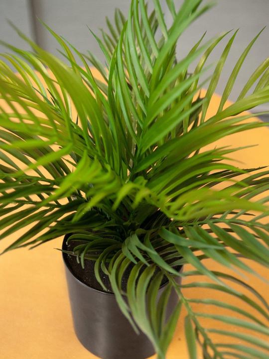 Actual product image Europalms Gold Fruit Palm, Artificial Plant, 46 cm (46 cm)