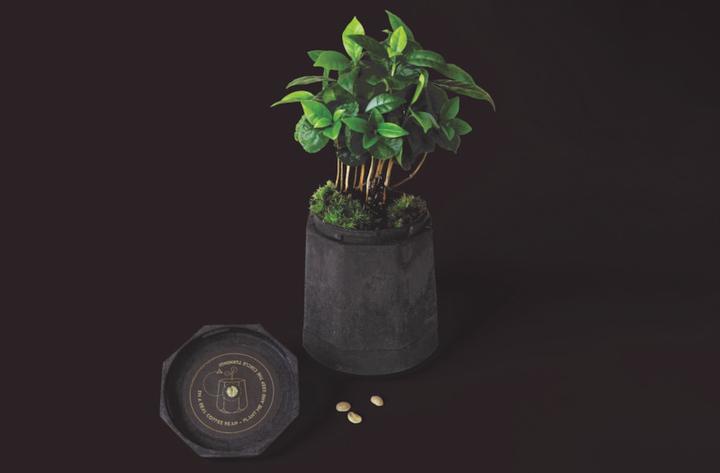 Actual product image Tropical Mountains Passionato (21 x Port.)