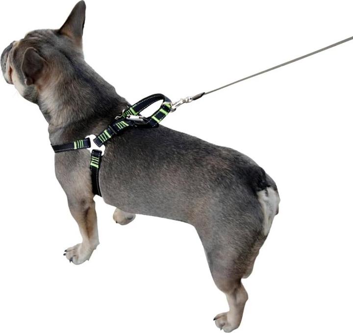 Produktbild Kerbl Autosicherheitsgeschirr (Hund, Sicherheitsverschluss)