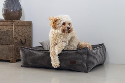 Produktbild Designed by Lotte Ribbed (Hund)