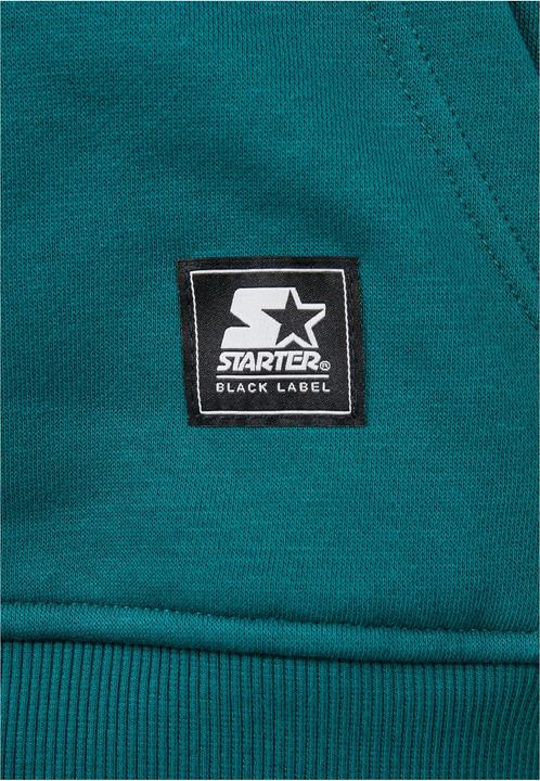 Image du produit Starter Small Logo Hoody (XL)