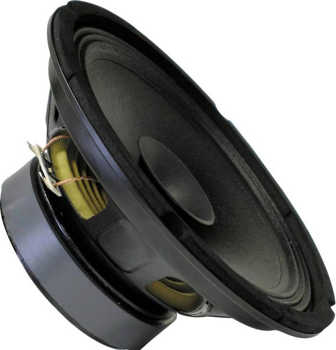 Actual product image Rockwood BLANKO PA Bass Fullrange 250 mm Guitar Speaker