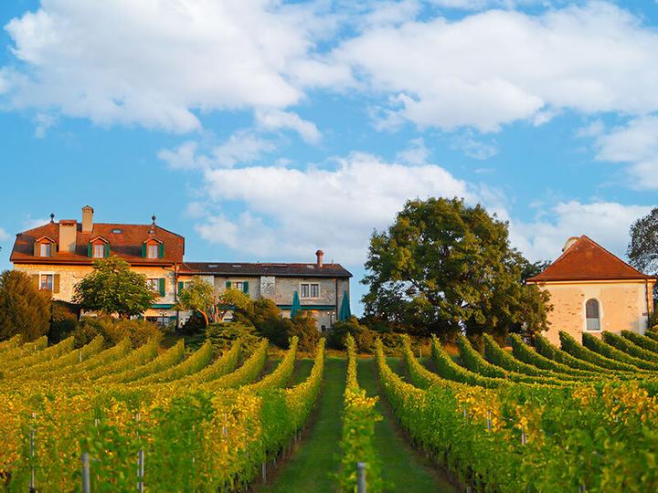 Immagine prodotto Smartbox Meraviglioso soggiorno al Domaine de Châteauvieux nel cantone di Ginevra per 2 persone (2 pers.)