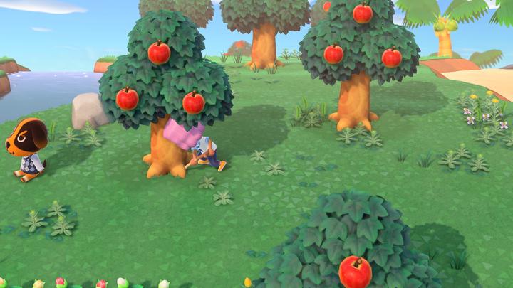 Produktbild Nintendo Animal Crossing: New Horizons (Switch, FR)