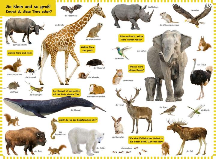 Produktbild Duden 18+: Kennst du das? Das grosse Tiere-Bildwörterbuch (Deutsch, 2022)