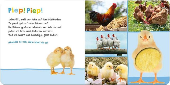 Produktbild Hör mal rein, wer kann das sein? Bauernhoftiere (Deutsch)