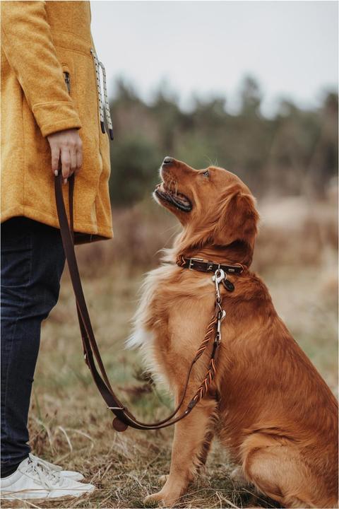 Immagine prodotto Hunter Guinzaglio per cani con cordino di educazione solida (Cane, Generale)