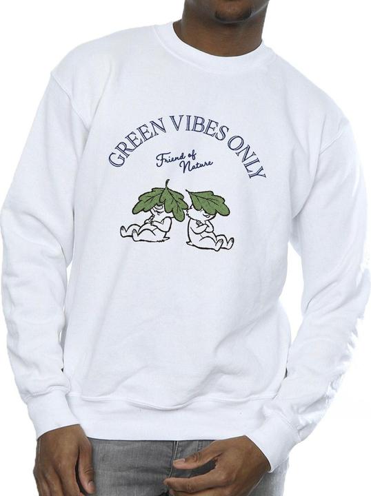 Image du produit Disney - Sweat CHIP 'N DALE GREEN VIBES ONLY - Homme (S)