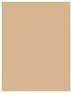 Actual product image Osram CC cream Cellular Luminous630 SPF 30 40 ml - Shade: Medium (02 Medium)
