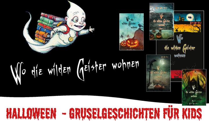 Image du produit Wo die wilden Geister wohnen... Schaurig-schöne Gruselgeschichten für Kinder - Band 7 (Allemand, Martina Meier, 2024)