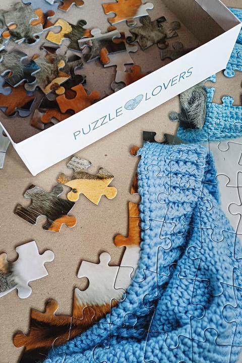 Image du produit Selecta Spielzeug Puzzle Gentil chaton et chien endormi, 100 pièces. (100 pièces)