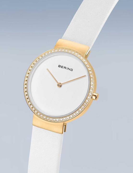 Image du produit Bering 14531-630 (Montre analogique)