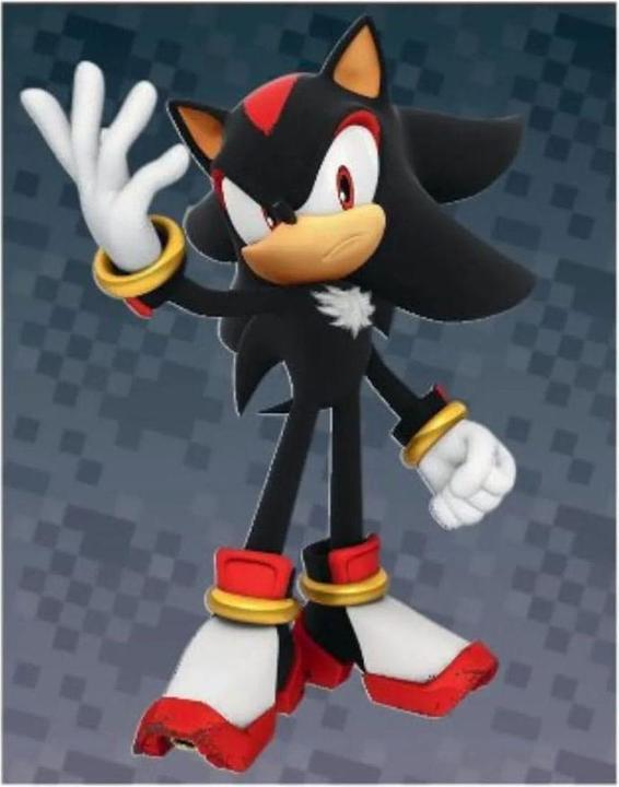Actual product image Panini Sonic the Hedgehog Sticker Collection Album *German Version*