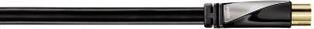 Image du produit Avinity Câble d'antenne