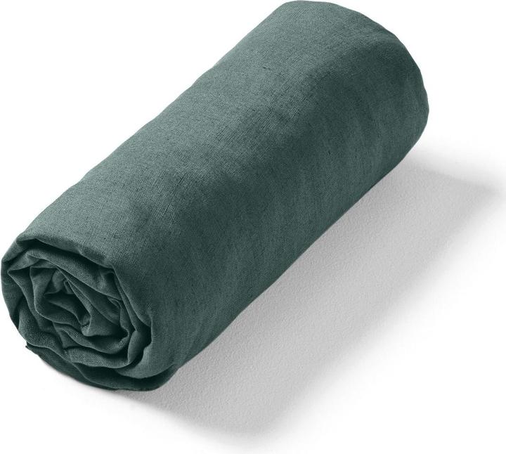 Eucalyptus vert