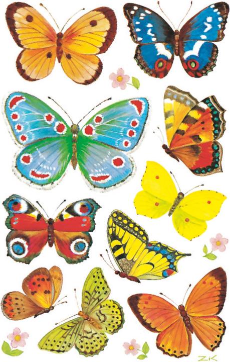 Actual product image Z-Design Butterfly