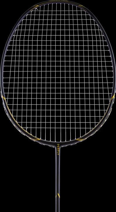 Actual product image Perfly BR 500