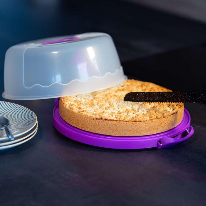 Actual product image Intirilife Cake transport container