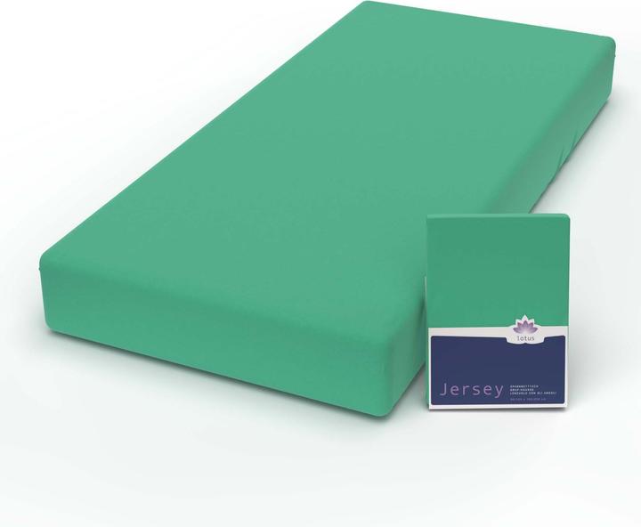 Immagine prodotto Lotus Bettwaren Jersey Fix Comfort (180 x 200 cm)