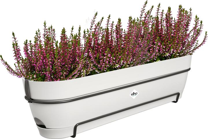 Produktbild Elho Vibia Campana Allin1 (26 cm)