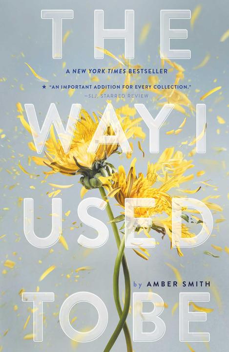 Actual product image The Way I Used to Be (English, Amber Smith, 2017)