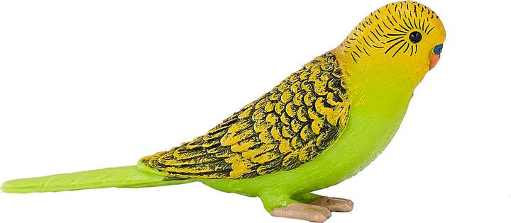 Image du produit Animal Planet Perruche