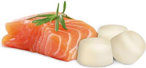 Immagine prodotto beaphar Grasso di pecora con salmone (245 g)