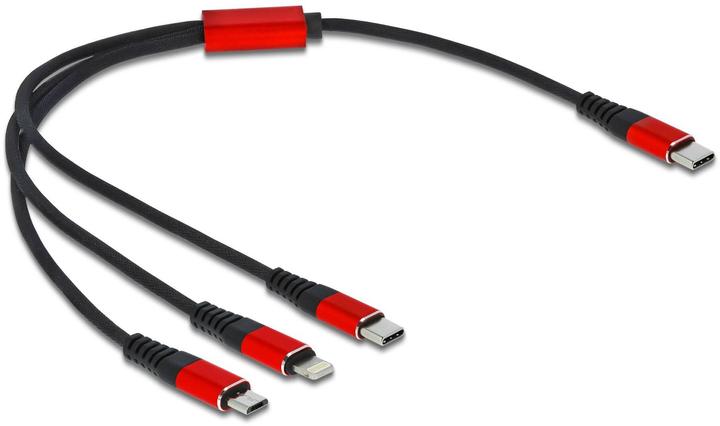 Delock USB-Ladekabel (0.30 m, USB 2.0)