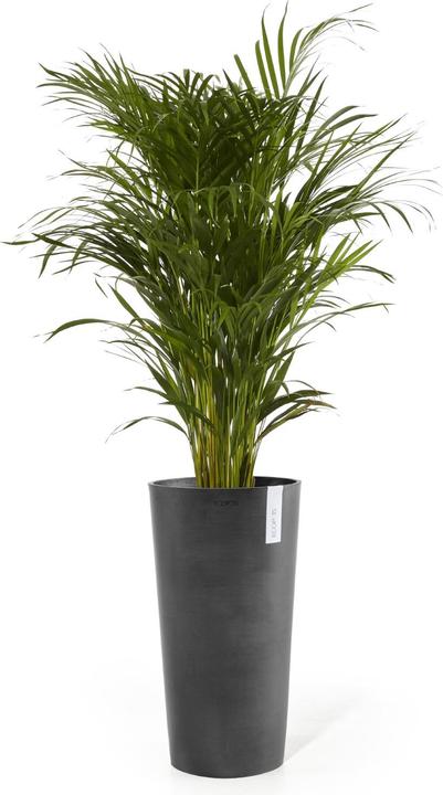 Image du produit Ecopots Amsterdam High (41 cm)