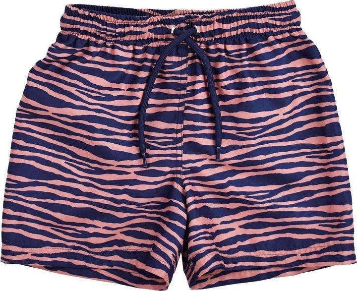 Orange Zebra