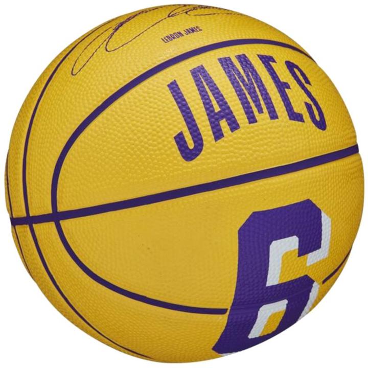 Image du produit Wilson Nba Player Icône Mini Bskt Curry
