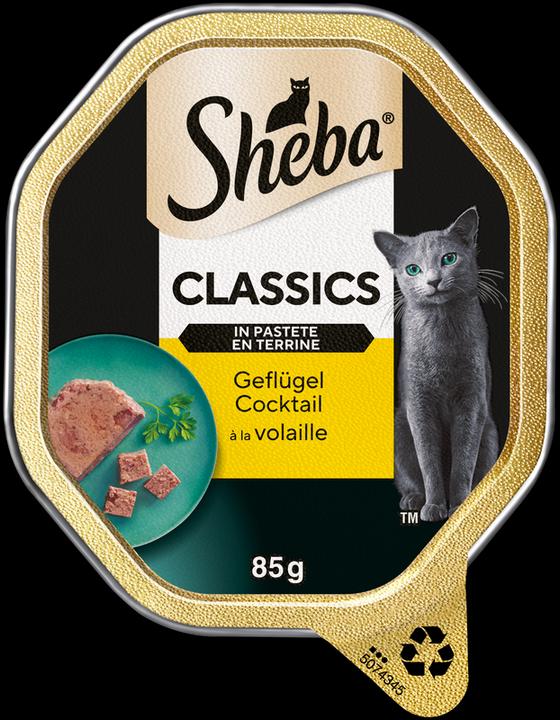 Actual product image Sheba Classics in pâté poultry cocktail dish (Adult, 1 pcs., 85 g)