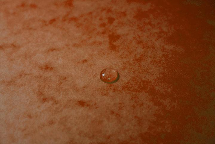 Actual product image Exacompta Folder (A4, 1 x)