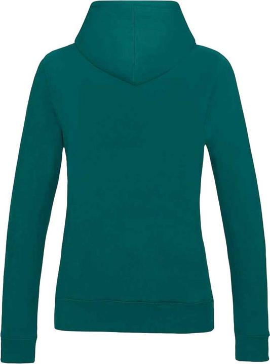 Image du produit Awdis - Sweat à capuche COLLEGE - Femme (L)