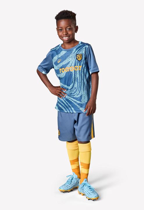 Produktbild Kipsta Kinder Fussball Trikot kurzarm - VIRALTO Kids Roarrr Cheetah blau/grau (14, 15, 16)